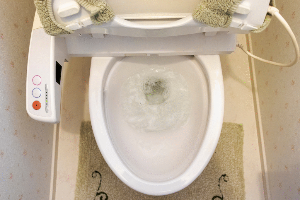 low-flow toilet options