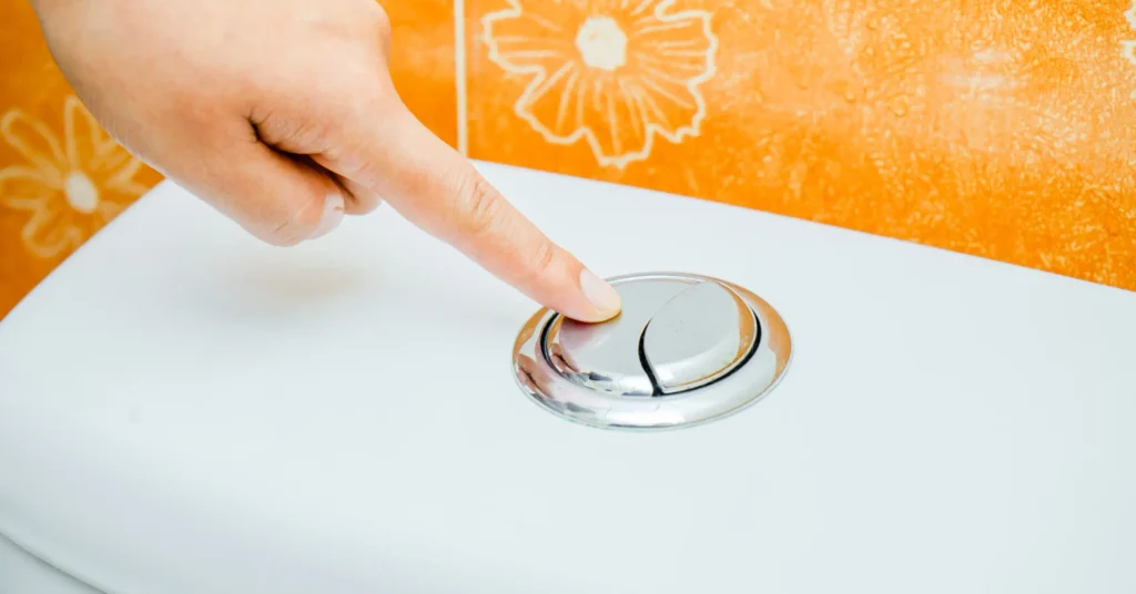 are dual flush toilets worth it