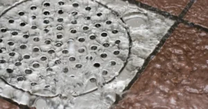are shower and toilet drains connected