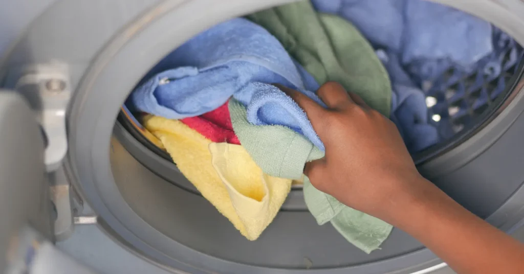can bed bugs survive in a washing machine