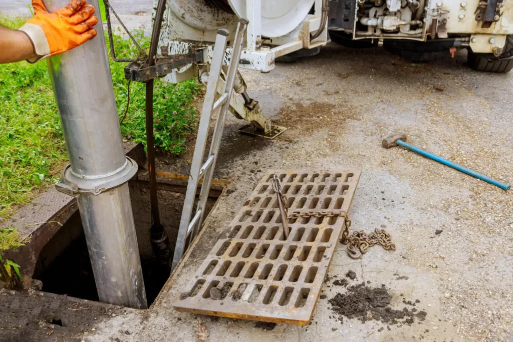 Tree Roots in Sewer Line