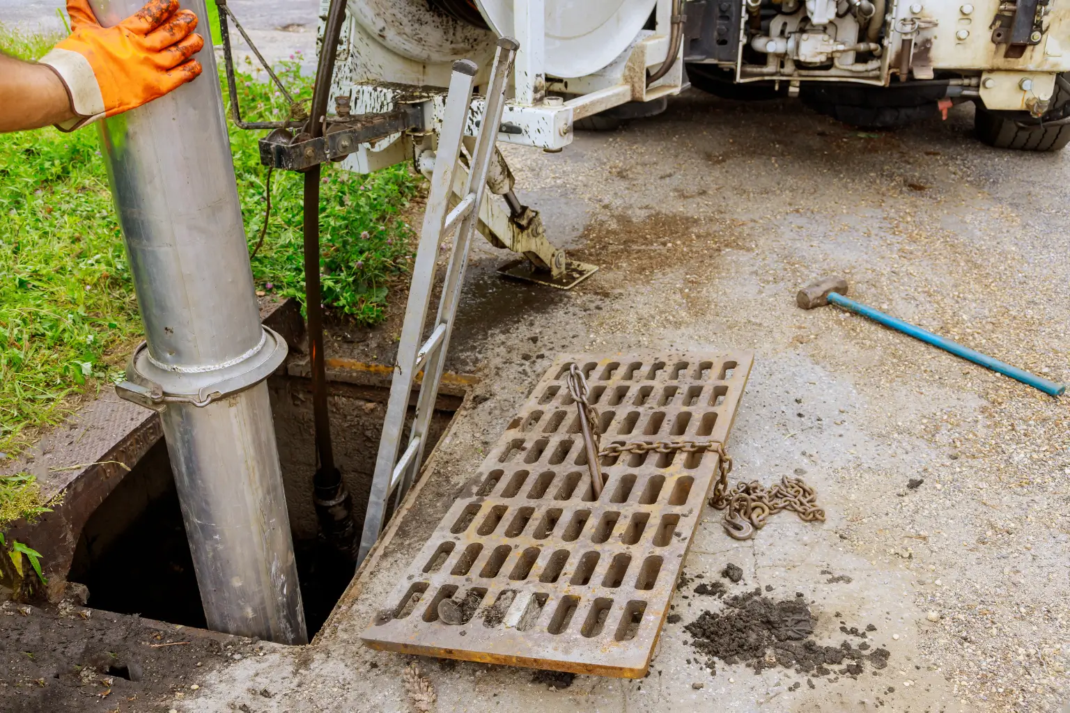 Tree Roots in Sewer Line