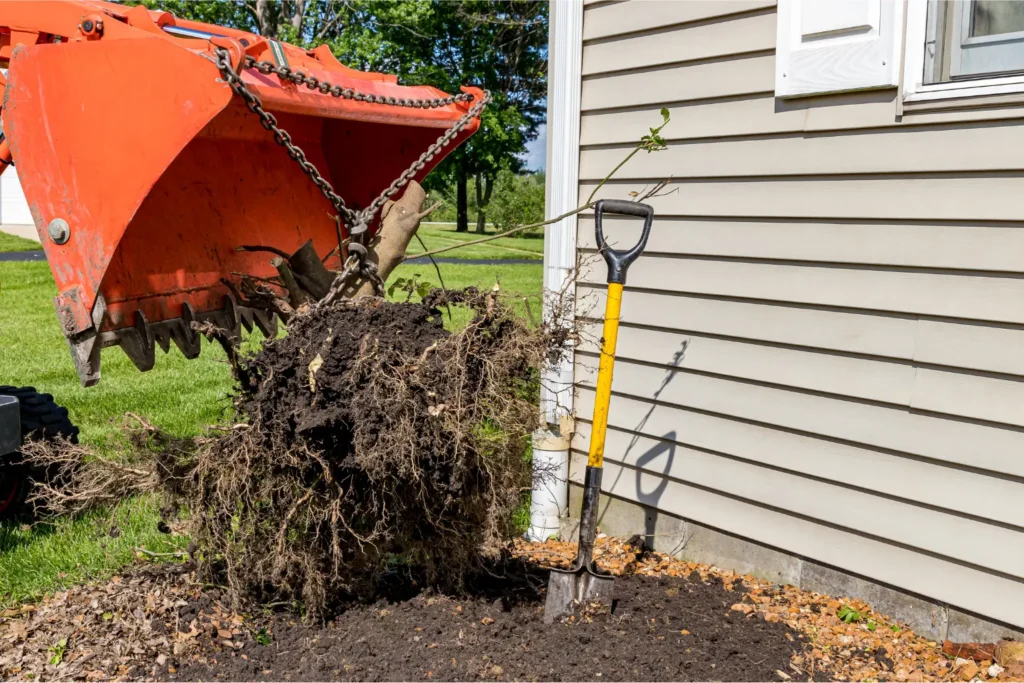 Root Intrusion Removal San Diego