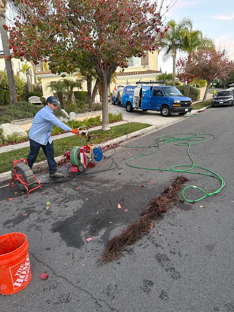 Plumber removing tree roots from a clogged sewer line