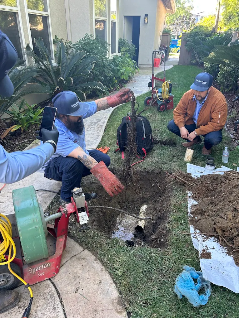 Plumber removing tree roots from an underground sewer line
